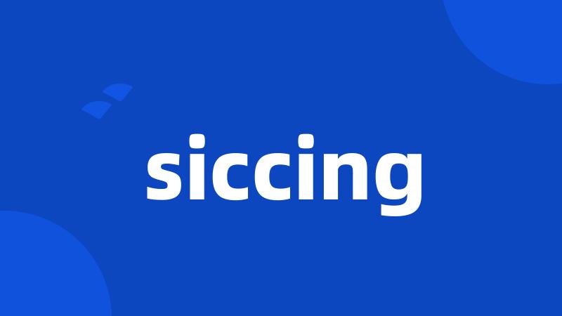 siccing