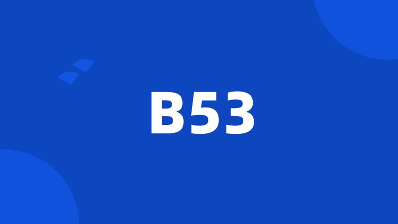 B53