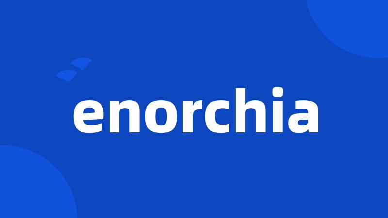 enorchia