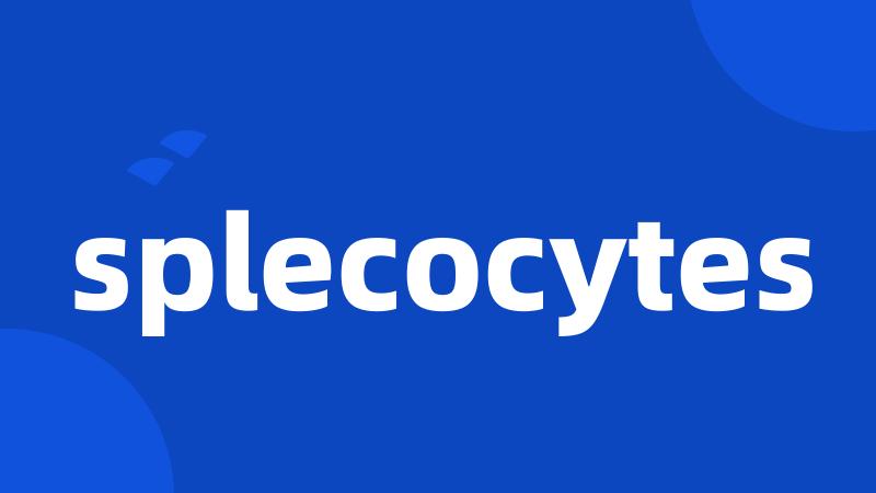 splecocytes