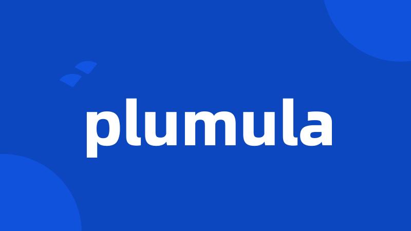 plumula