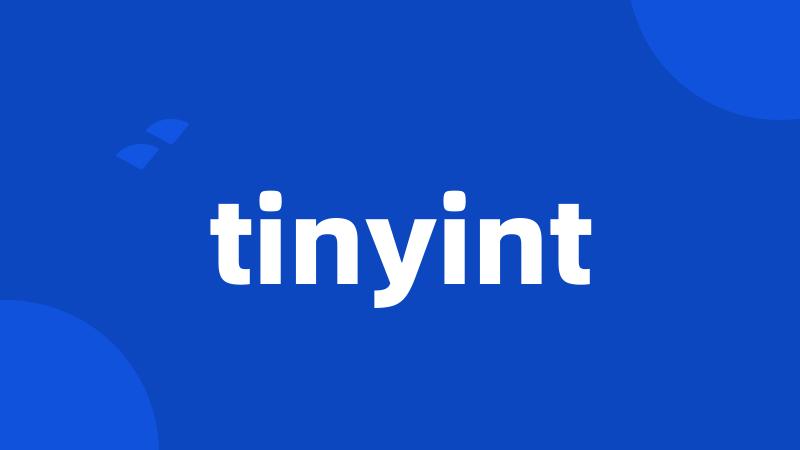 tinyint