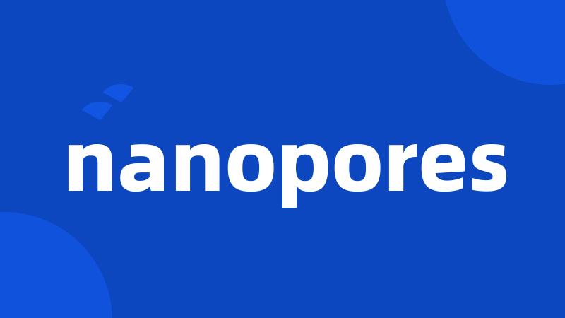 nanopores