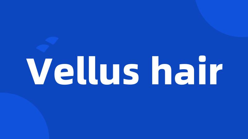 Vellus hair