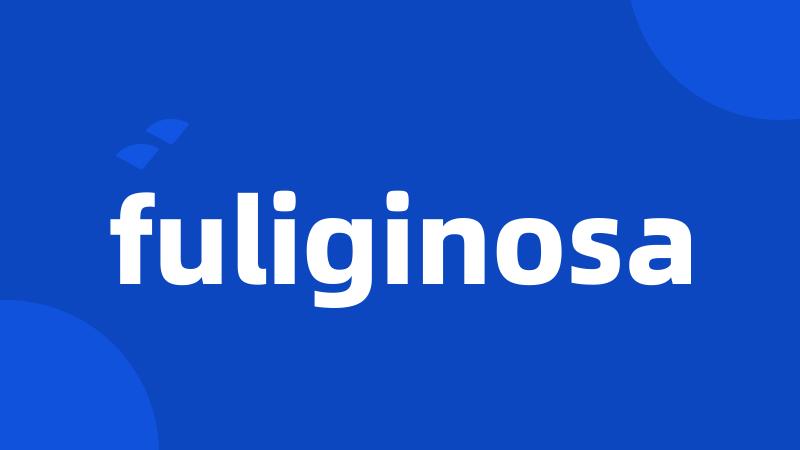 fuliginosa