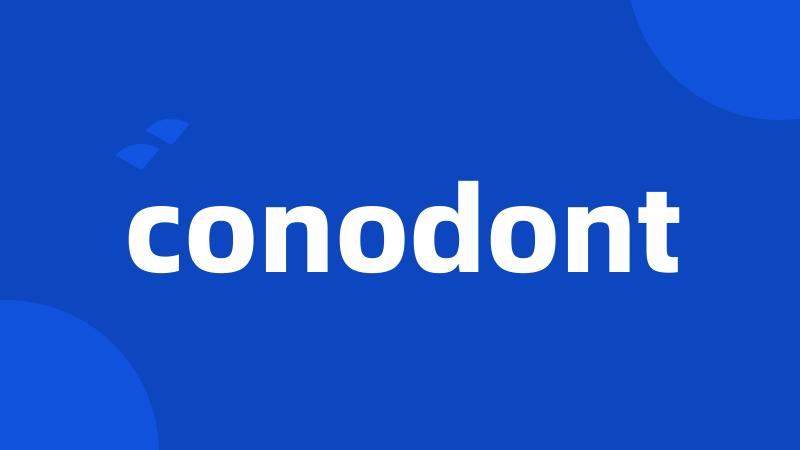 conodont