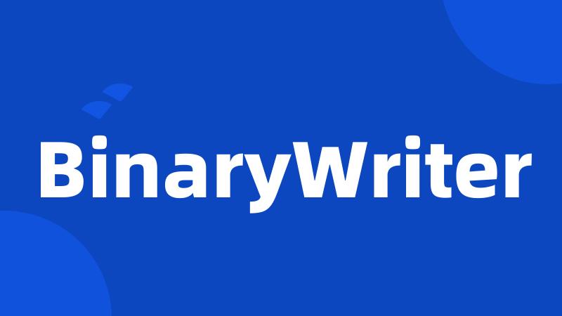 BinaryWriter