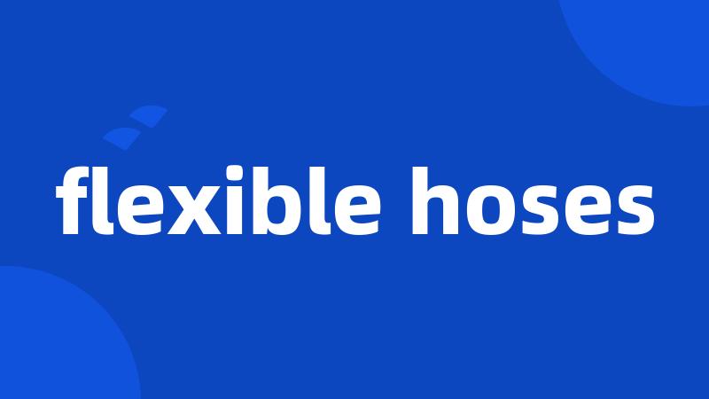 flexible hoses