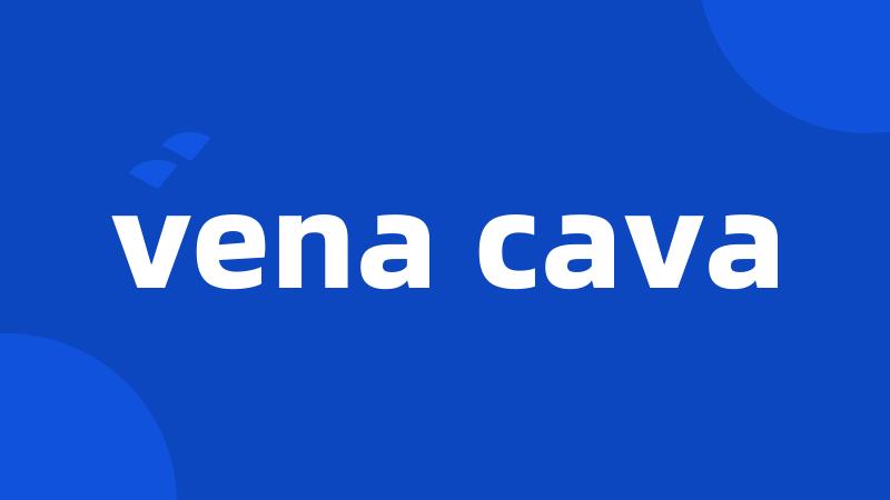 vena cava