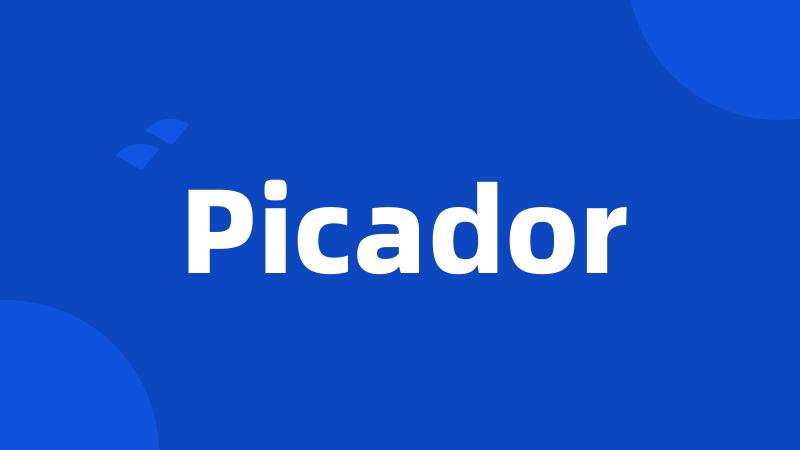 Picador