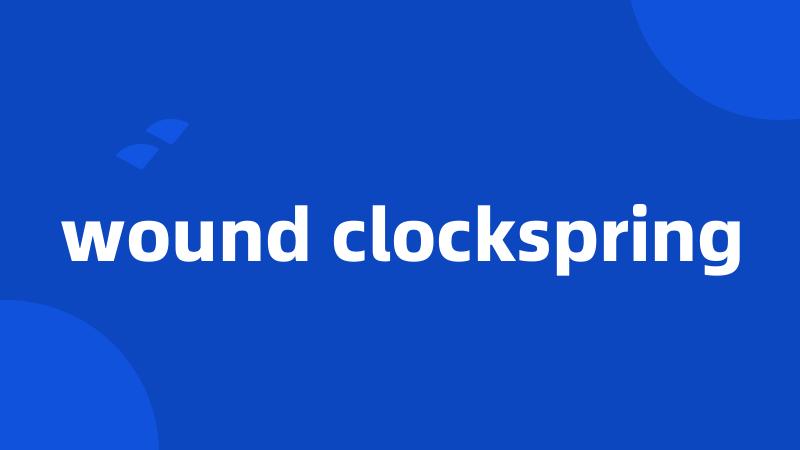 wound clockspring