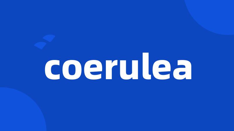 coerulea