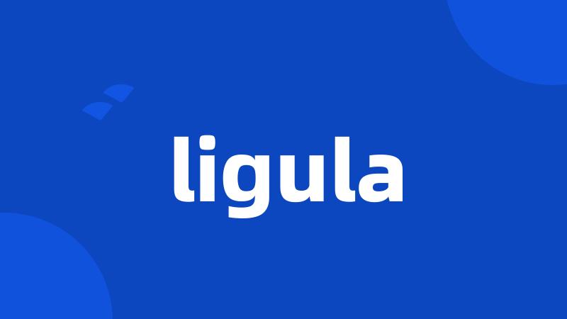 ligula