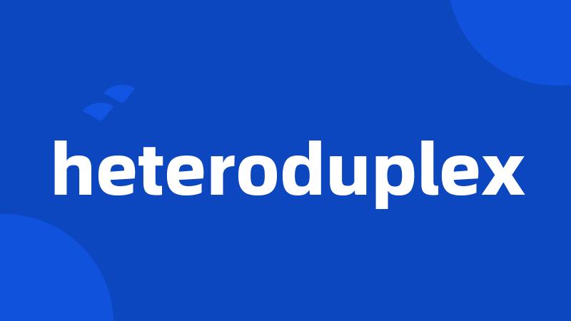 heteroduplex