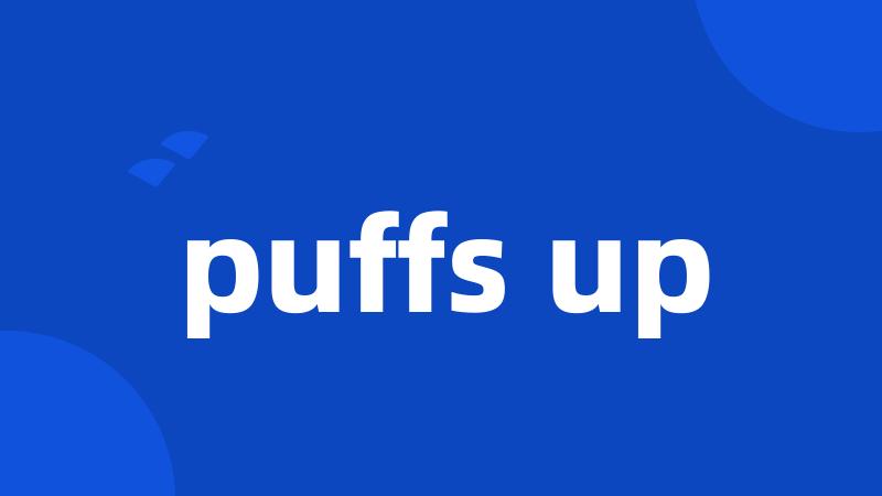 puffs up