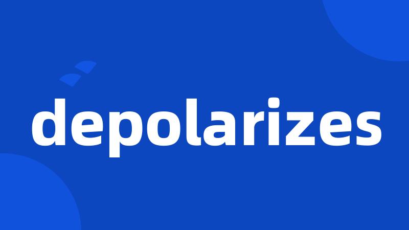 depolarizes