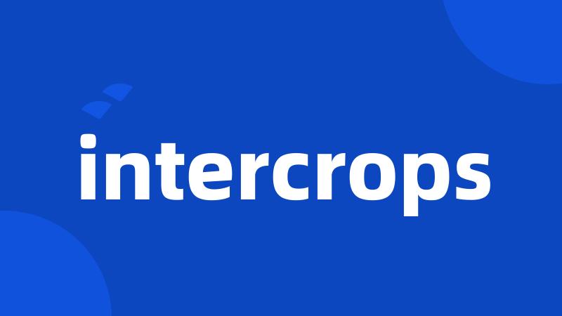 intercrops