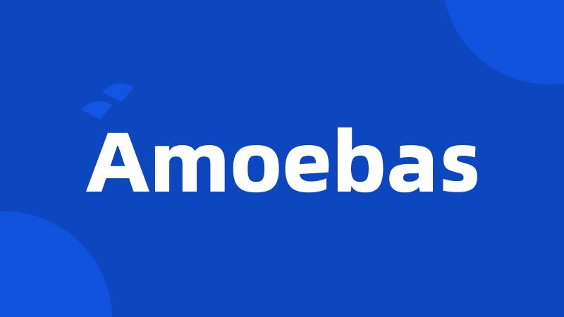 Amoebas