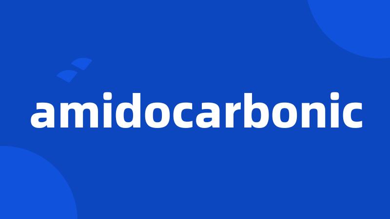 amidocarbonic