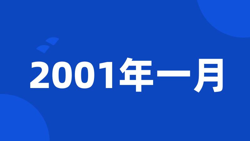 2001年一月