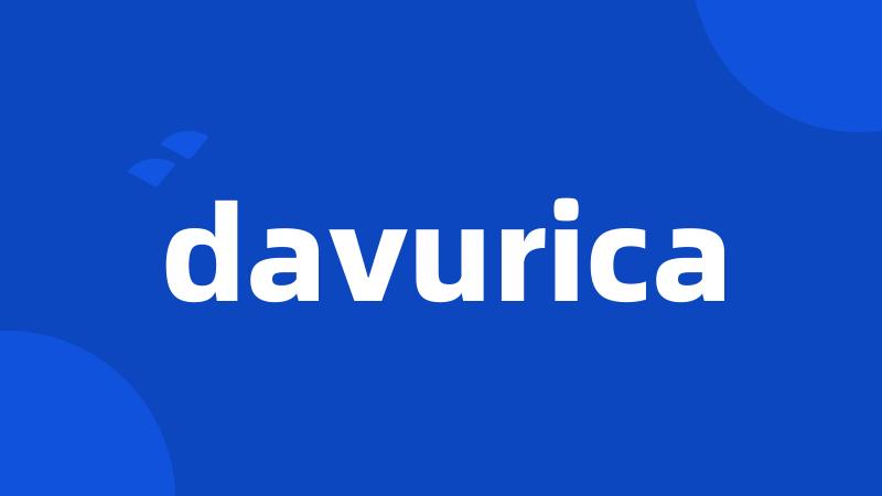 davurica