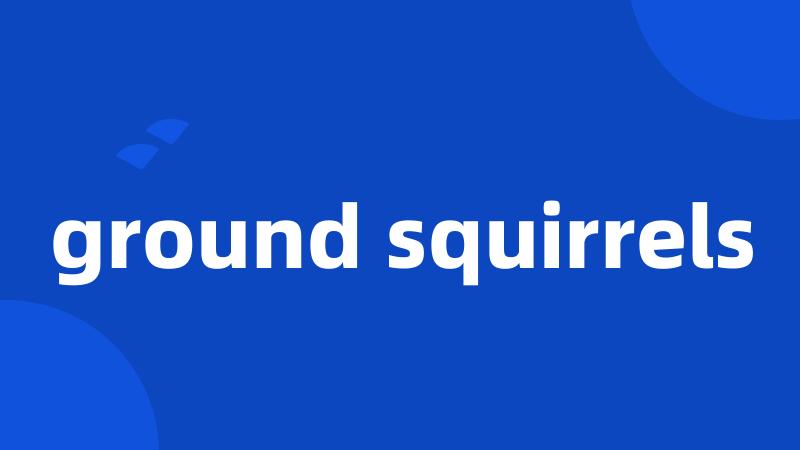 ground squirrels