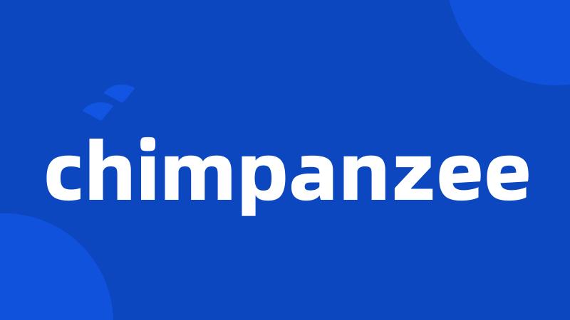 chimpanzee