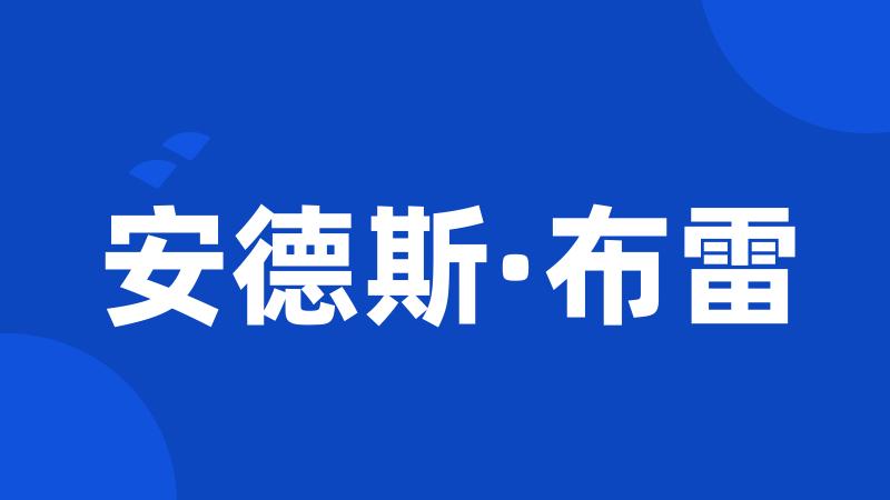 安德斯·布雷