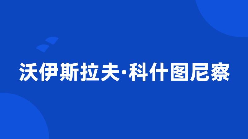 沃伊斯拉夫·科什图尼察