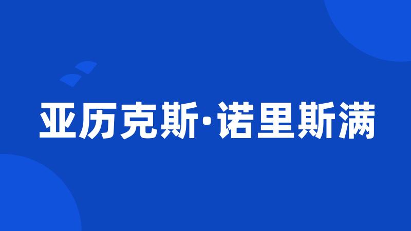 亚历克斯·诺里斯满