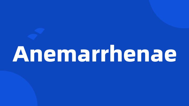 Anemarrhenae