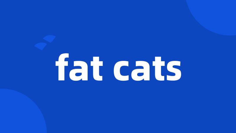 fat cats