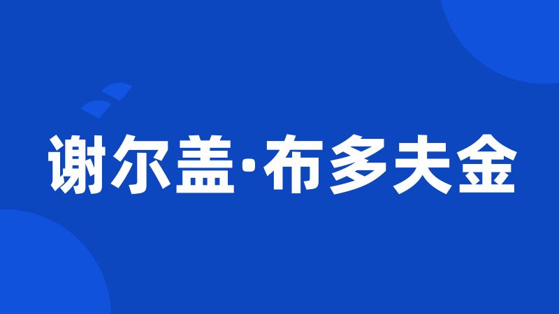 谢尔盖·布多夫金