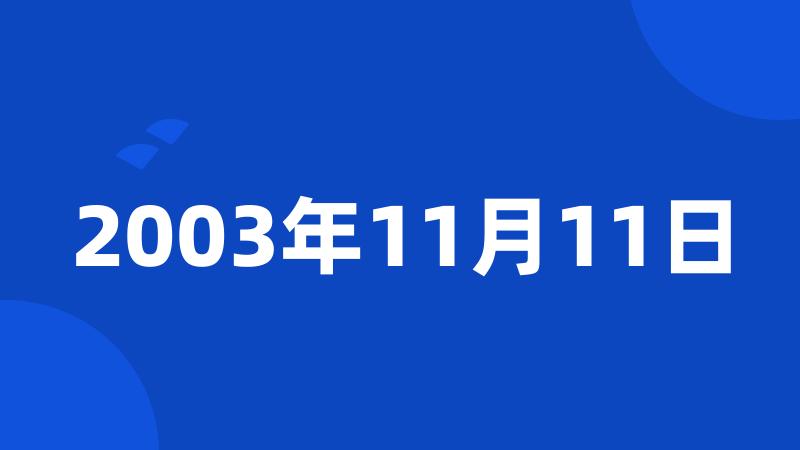 2003年11月11日