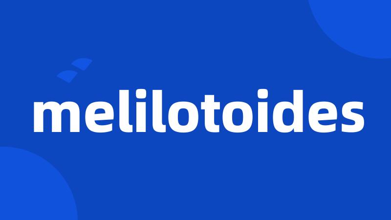 melilotoides