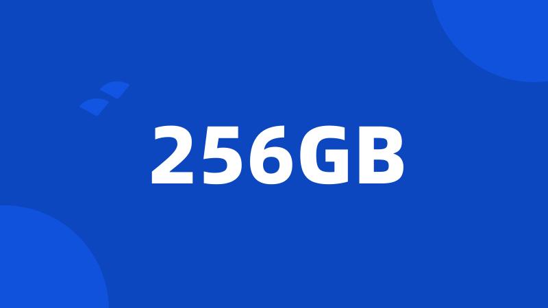 256GB