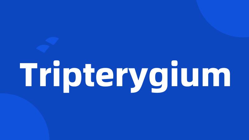 Tripterygium