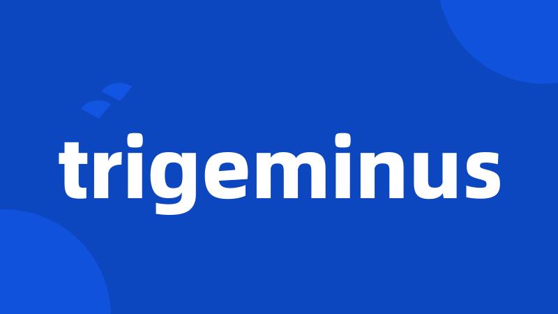 trigeminus