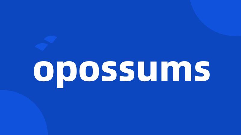 opossums