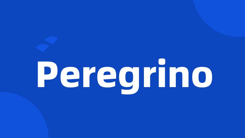 Peregrino