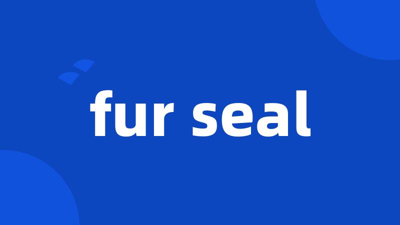 fur seal