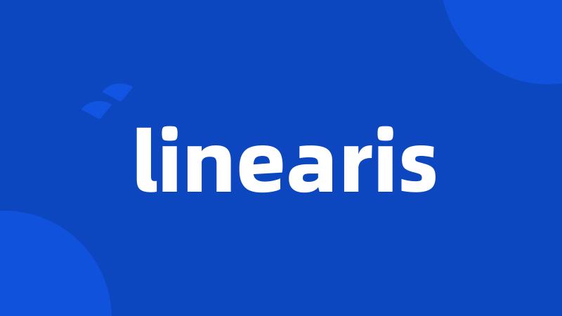 linearis