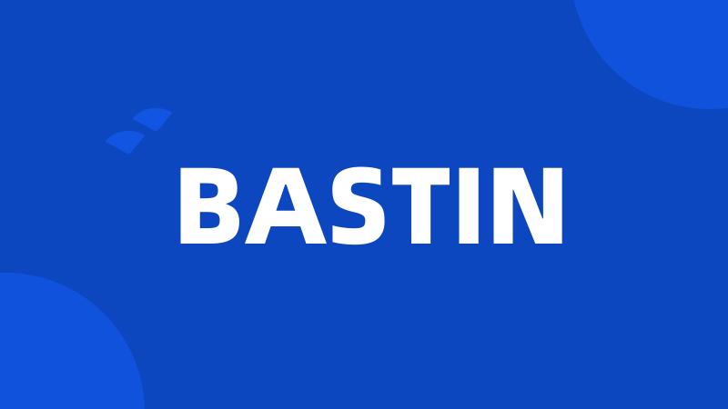 BASTIN