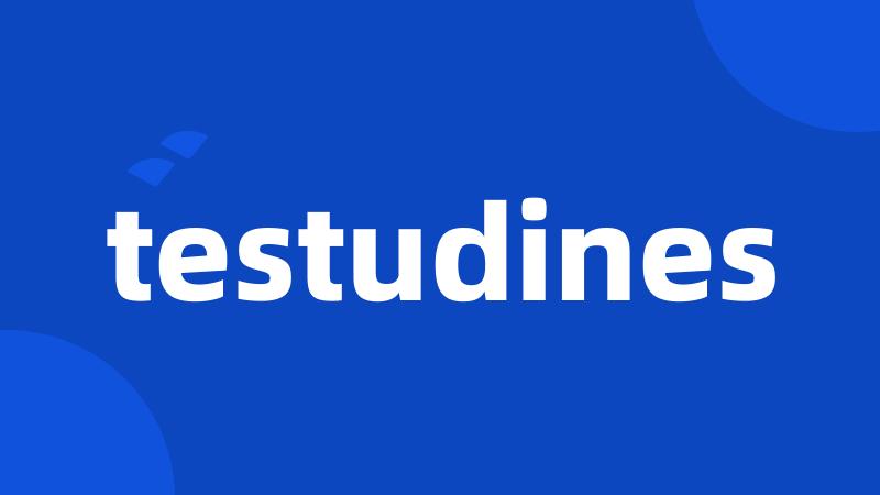 testudines