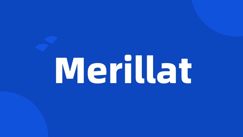 Merillat