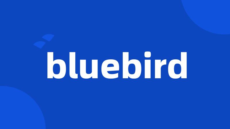 bluebird