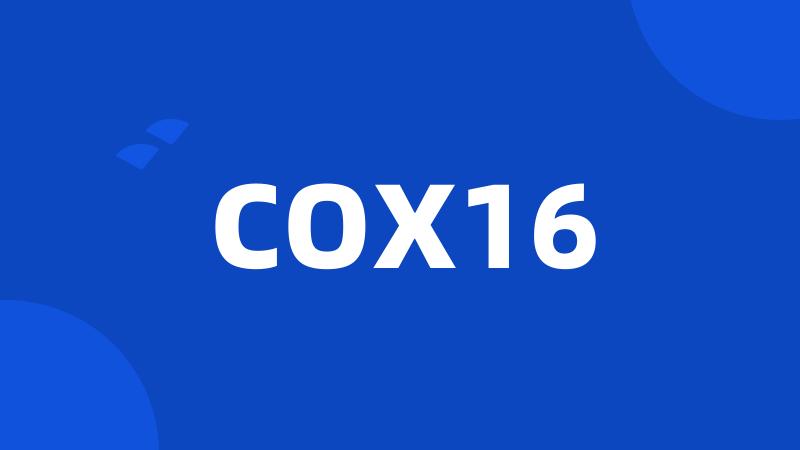 COX16