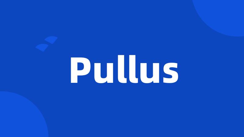 Pullus