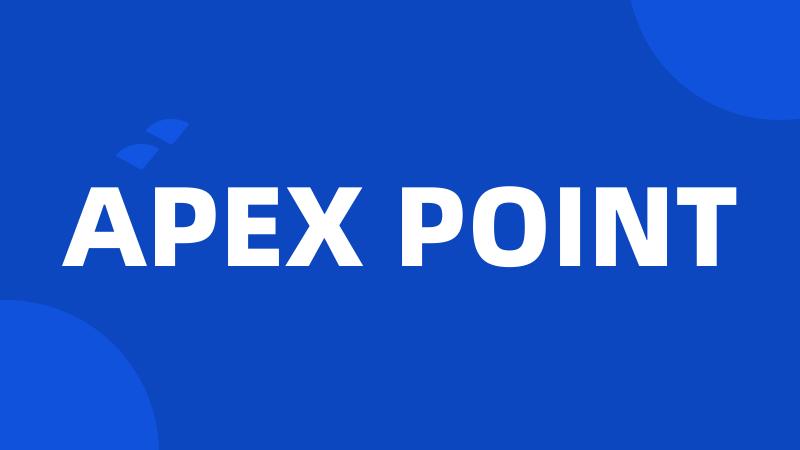 APEX POINT