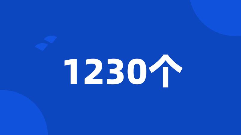 1230个